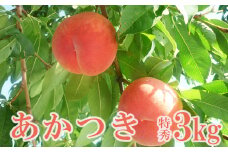 No.2513 もも　特秀「あかつき」約3kg【2025年発送】
