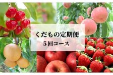 No.2512 くだもの定期便【Bコース/全5回】【2025年発送】