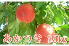 No.2514 もも　特秀「あかつき」約5kg【2025年発送】