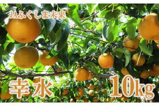 No.2517 なし　特秀「幸水」約10kg【2025年発送】