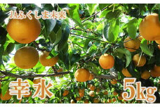 No.2518 なし　特秀「幸水」 約5kg【2025年発送】