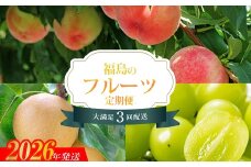 No.2528 【2026年発送　先行予約】フルーツ３種定期便