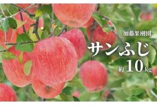 No.2532加藤果樹園　サンふじ 約10kg 【2025年度発送】