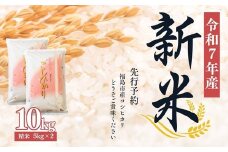 No.2381大文字屋米穀店【令和7年産新米　先行予約】 コシヒカリ精米 10kg（5kg×2）