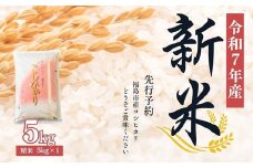 No.2382大文字屋米穀店【令和7年産新米　先行予約】コシヒカリ精米 5kg