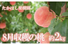 No.2531たかはし果樹園の桃　8月収穫 福島市産 白桃 品種 おまかせ (白鳳、あかつき、まどか、よさこい桃、川中島白桃、ゆうぞら ) 約2kg【2025年発送　先行予約】