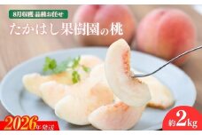 No.2531たかはし果樹園の桃　8月収穫 福島市産 白桃 品種 おまかせ (白鳳、あかつき、まどか、よさこい桃、川中島白桃、ゆうぞら ) 約2kg【2026年発送 先行予約】