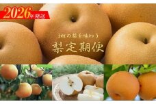 No.2535梨の3品種定期便【2026年発送　先行予約】