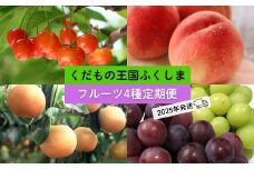 No.2549フルーツ4種 定期便 さくらんぼ 桃 梨 ぶどう【2025年 先行予約】