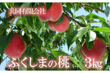 No.2361もも　晩生種3kg【2025年発送】