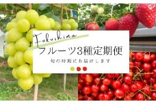 No.2122フルーツ3種定期便 シャインマスカット/いちご/さくらんぼ【2025年～2026年発送】