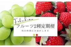 No.2120フルーツ2種定期便 シャインマスカット/いちご【2025年～2026年発送】
