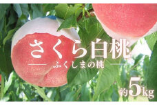 No.2516 もも　特秀「さくら白桃」約5kg【2025年発送】