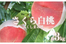 No.2515 もも　特秀「さくら白桃」約3kg【2025年発送】