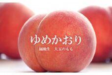 No.2579香り高いもも 硬くて甘い/ゆめかおり 約5kg【2025年発送】