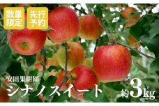 No.2605 りんご　シナノスイート　約3kg【2025年度発送】