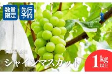 No.2609ぶどう　シャインマスカット1kg以上【2025年発送　先行予約】