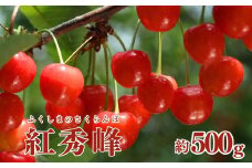 No.2612さくらんぼ(紅秀峰)約500g【2025年発送　先行予約】