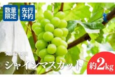 No.2613ぶどう　シャインマスカット約2kg【2025年発送　先行予約】