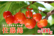 No.2611さくらんぼ(佐藤錦)約500g【2025年発送　先行予約】