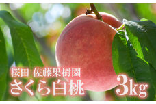 No.2640福島の桃「さくら白桃」約3kg【2025年発送】
