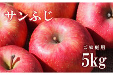 No.2308 りんご「サンふじ」家庭用 約5kg【2025年度発送】