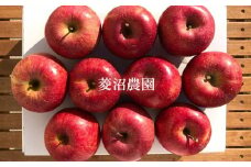 No.2402 菱沼農園　りんご「サンふじ」約3kg【2025年度発送】
