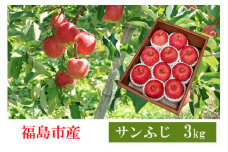 No.2357 共同有限会社　りんご「サンふじ」約3kg【2025年度発送】