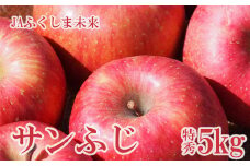No.2509 りんご「サンふじ」 約5kg 特秀14～18玉【2025年度発送】