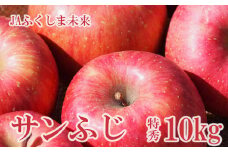 No.2510 りんご「サンふじ」 約10kg 特秀28～36玉【2025年度発送】