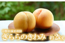 No.2617【先行予約】中野/佐藤果樹園 もも「きららのきわみ」約2kg【2025年発送】