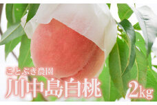 No.2687もも「川中島白桃」約2kg【2025年発送　先行予約】