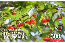 No.2714 さくらんぼ「佐藤錦」500g（Lサイズ）【2025年発送】