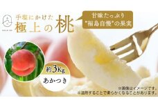 No.2668もも「あかつき」約3kg【2025年発送】