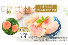 No.2671もも「川中島白桃」約2kg【2025年発送】
