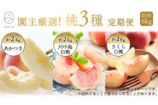No.2674園主厳選！もも3種定期便　各約2kg【2025年発送　先行予約】