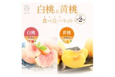No.2673白桃＆黄桃食べ比べセット　約2kg【2025年発送】