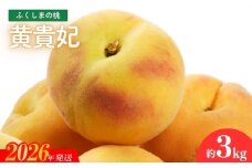 No.2688福島のもも 黄貴妃　約3kg【2026年発送　先行予約】