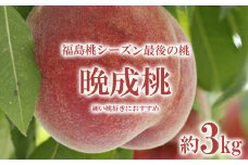 No.2689福島桃シーズン最後の桃　晩成桃　約3kg【2025年発送分】