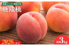 No.2689福島シーズン最後の桃『晩成桃』約3kg【2026年発送　先行予約】