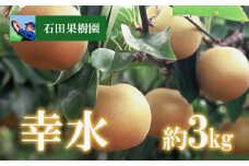 No.2736梨　幸水　3kg【2025年発送　先行予約】