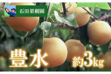 No.2737梨　豊水　3kg【2025年発送　先行予約】