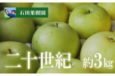 No.2739梨　二十世紀　3kg【2025年発送　先行予約】