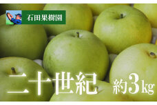 No.2739梨　二十世紀　3kg【2025年発送　先行予約】