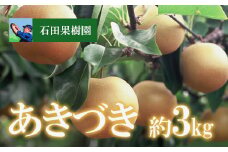 No.2740梨　あきづき　3kg【2025年発送　先行予約】