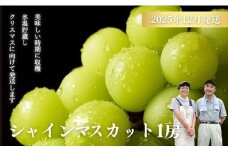 No.2741ぶどう「シャインマスカット」１房 化粧箱入【2025年12月発送】