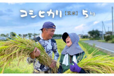 No.2756【令和6年産】たきちゃん農場のコシヒカリ 玄米 5kg