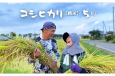 No.2757【令和6年産】たきちゃん農場のコシヒカリ 精米 5kg