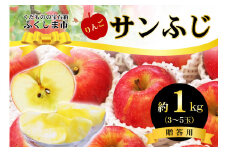 No.2770 ふくしまのサンふじりんご　約1kg 【2025年度発送】