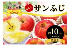 No.2772 ふくしまのサンふじりんご　約10kg【2025年度発送】